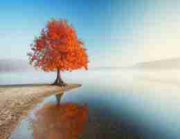 浏﻿览‌器​下﻿载‍文﻿件​下‌载‍不‍了‍